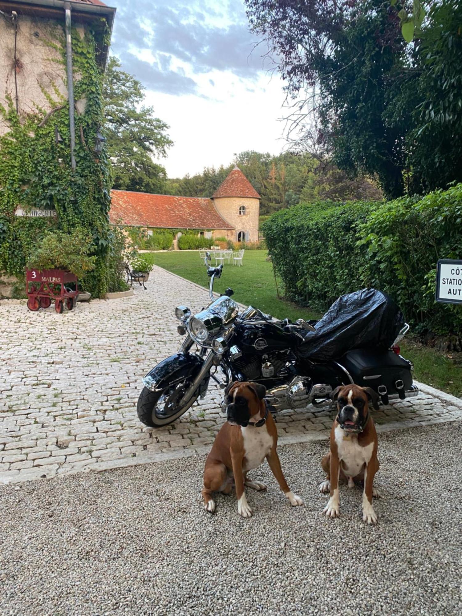 La Roulotte Deluxe De Malpas Bed and Breakfast Quingey Eksteriør billede